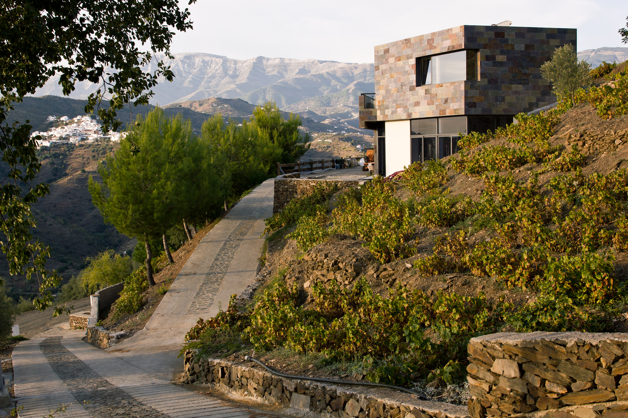 Sayalonga Bodegas Bentomiz